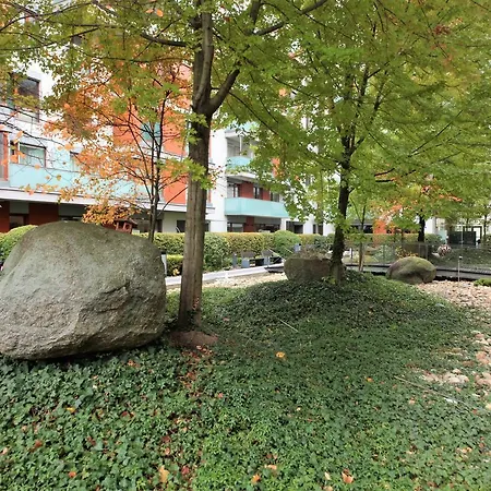 Vista Riverside Diamond